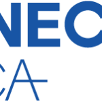 Energy is the ‘number one problem’ for Africa’s economy, says IEA director