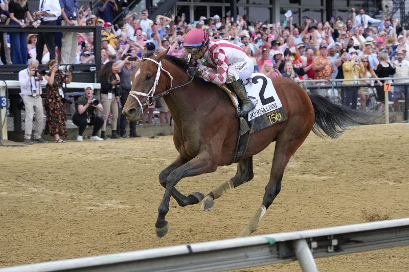 Journalism will compete in Belmont Stakes